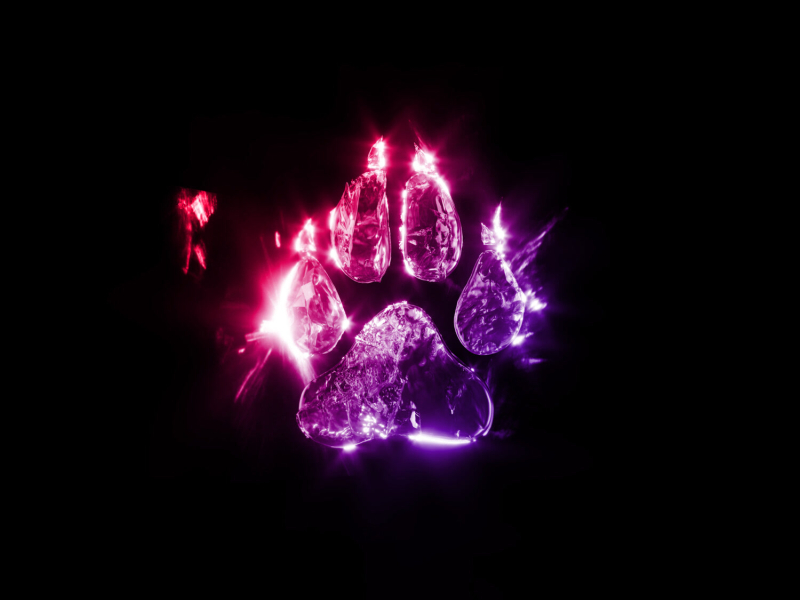 Cool For The Summer (Single)