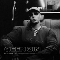 GEEN ZIN (Single)