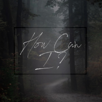 How Can I? (Radio Edit) (Single)