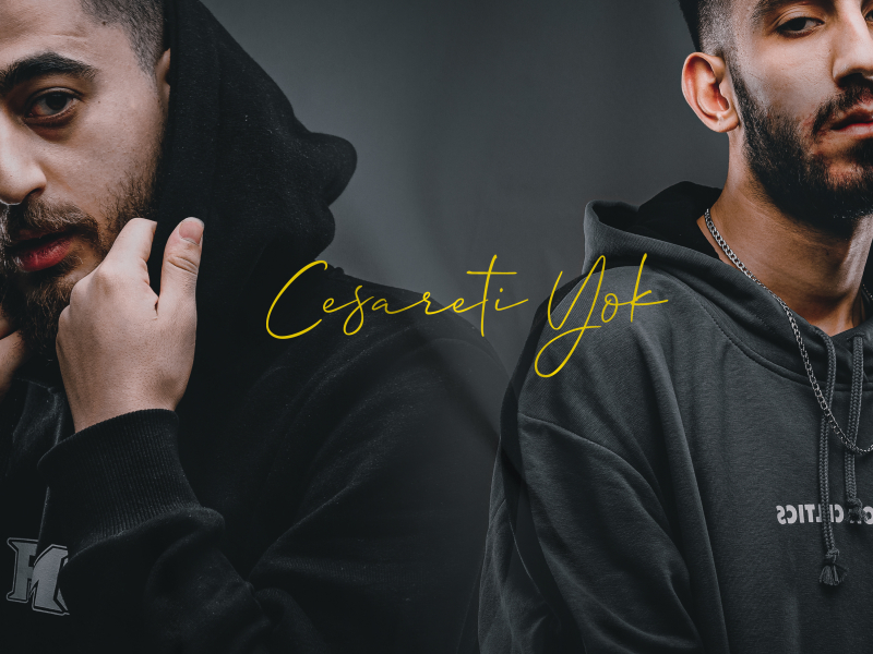Cesareti Yok
