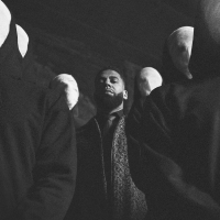 Feenflügel / All meine Fehler (Single)