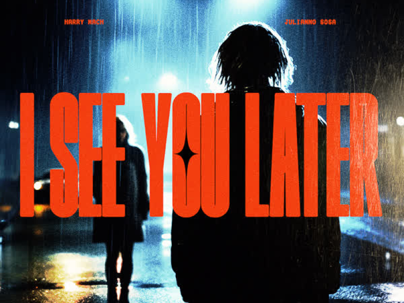 I SEE U LATER (Single)