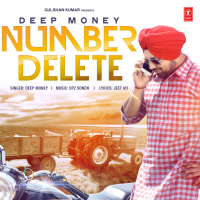 Number Delete (Single)