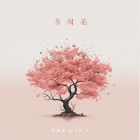 杏树花 (Single)