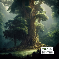 Moment Of Peace (Single)