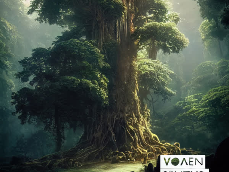 Moment Of Peace (Single)