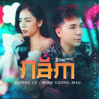 Nắm (EDM Version) (Single)