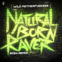 Natural Born Raver (2024 Remix) (Single)