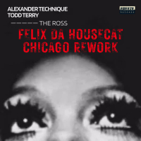 The Ross (Felix Da Housecat Chicago Rework) (Single)