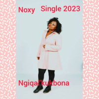 Ngiqal'kukbona (Single)