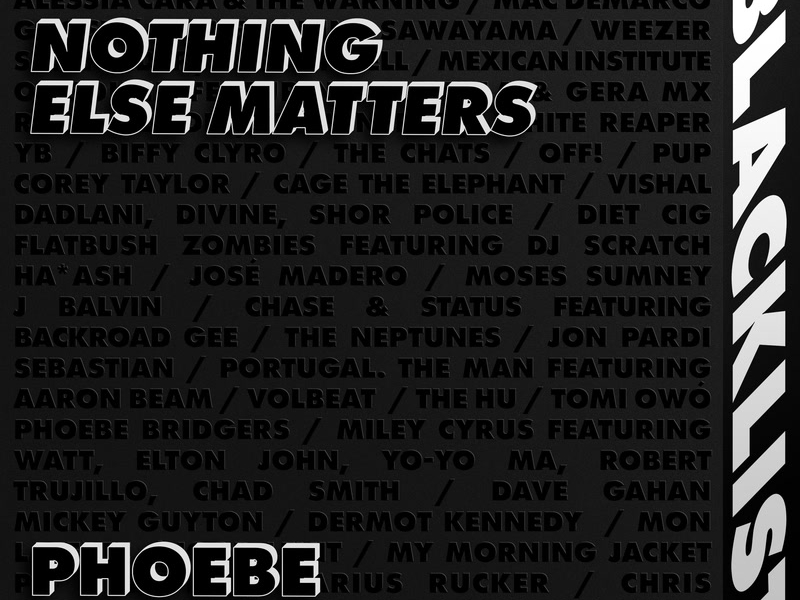 Nothing Else Matters (Single)