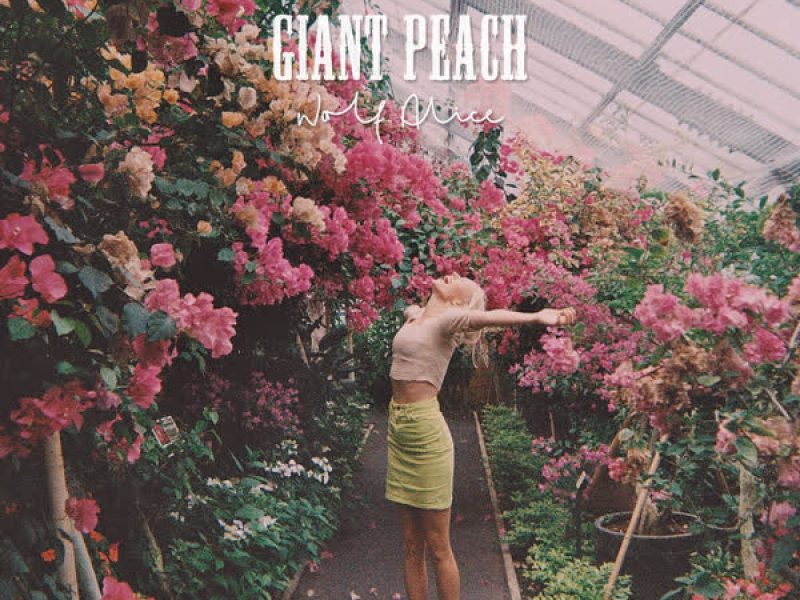 I Saw You (In a Corridor) (Single)