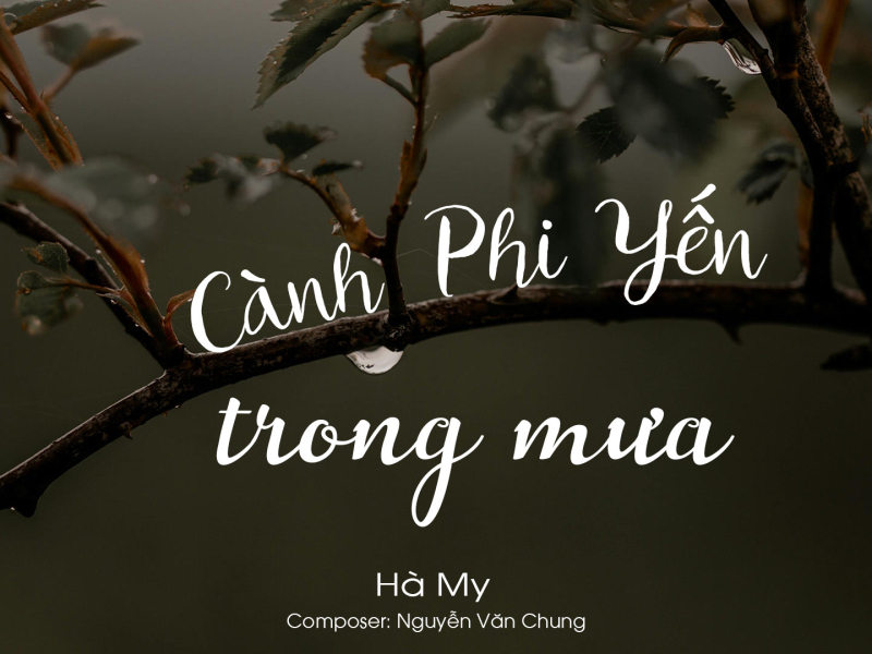 Cành Phi Yến Trong Mưa (Single)
