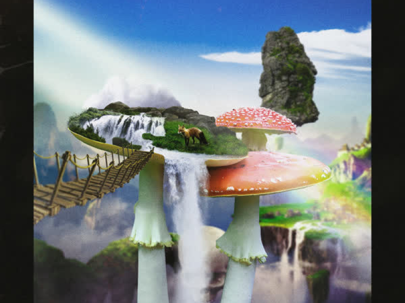 Hvem Er Hun (HAYES Remix) (Single)