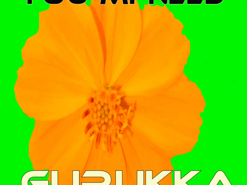 You Mi Need (Single)