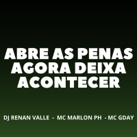 ABRE AS PERNAS AGORA DEIXA ACONTECER (Single)
