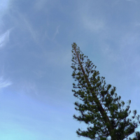 may pagmamahal pa ba? (Single)