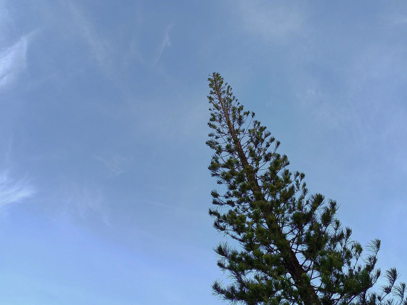 may pagmamahal pa ba? (Single)