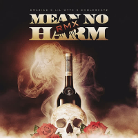 Mean No Harm Rmx (Single)