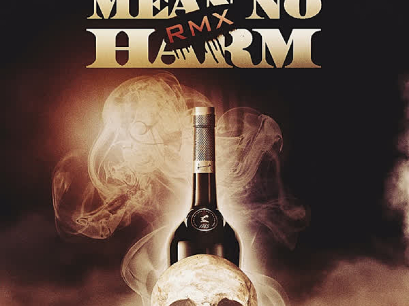 Mean No Harm Rmx (Single)