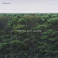 You're Not Alone (Single)