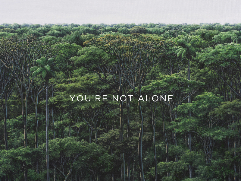 You're Not Alone (Single)