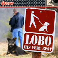 Lobo - His Very Best (EP)