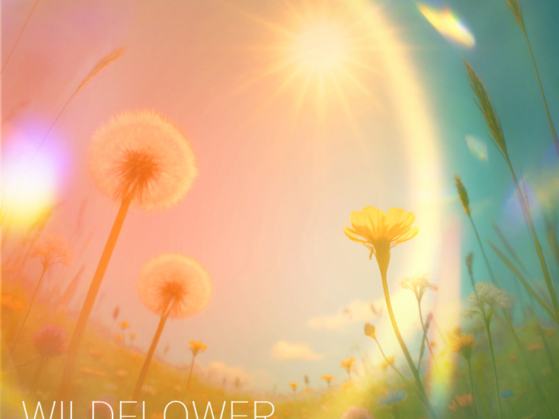 Wildflower (Single)