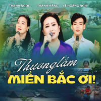 Tân Cổ Thương Lắm Miền Bắc ƠI (Single)