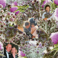 The Highest Level (Single)