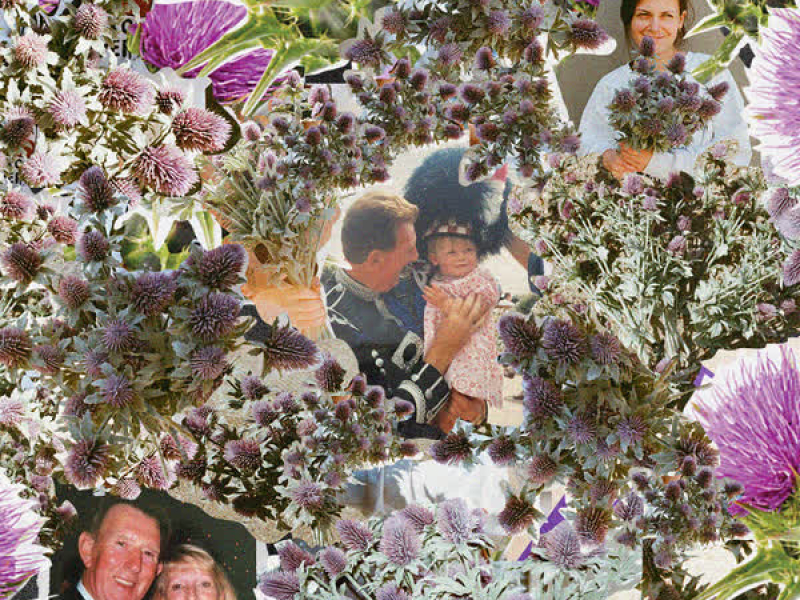 The Highest Level (Single)