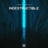 Indestructible (Single)