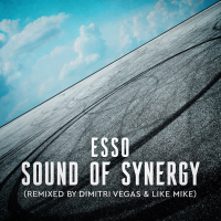 Sound of Synergy (Mixed by Dimitri Vegas & Like Mike) (Single)