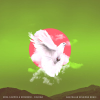 Paloma (Anatolian Sessions Remix) (Single)