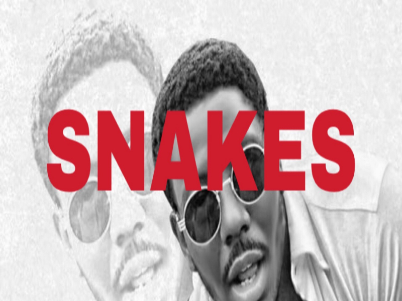 Snakes