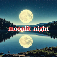 moonlit night (Single)