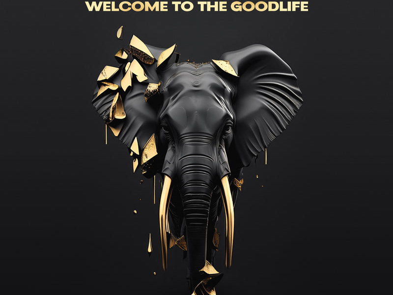 Welcome to the Goodlife (Single)