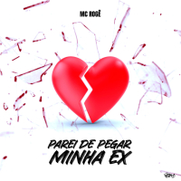 Parei de Pegar Minha Ex (Single)