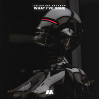 What I've Done (Single)