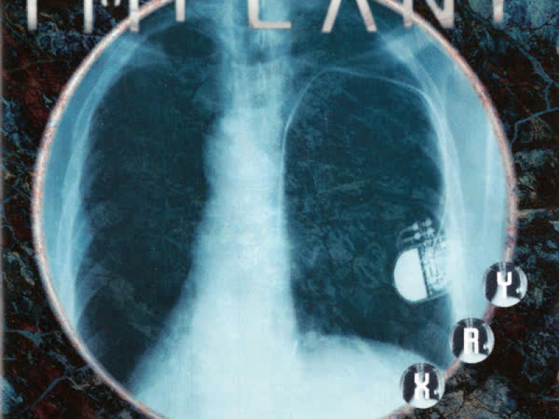 Soft Flesh - Hard Steel