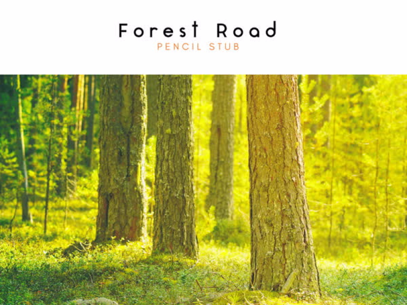Forest Road