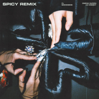Spicy (Remix) (Single)