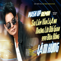 Mashup Sai Lầm Vẫn Là Anh, Những Lời Dối Gian, 999 Đóa Hồng (Remix) (Single)