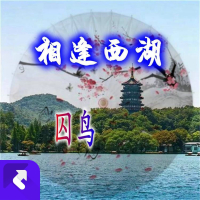 相逢西湖 (Single)