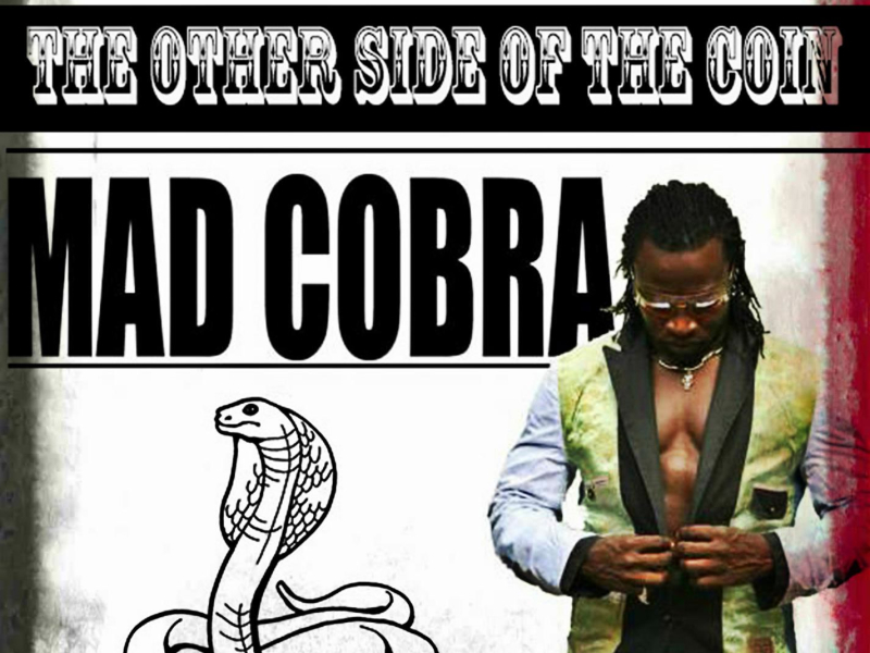 The Other Side Of The Coin Part 2 (Single)