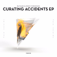 Curating Accidents (EP)