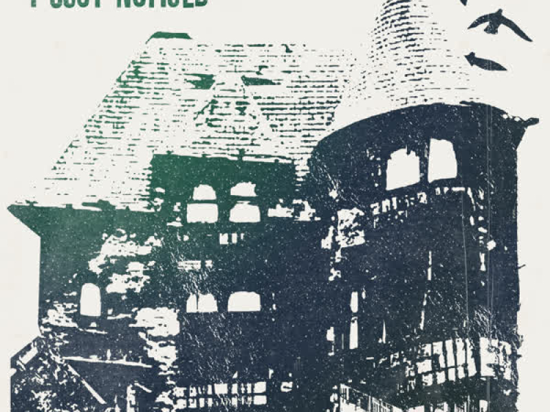 I Just Noticed (Single)