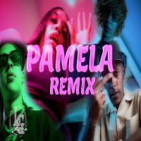 Pamela (Remix) (Single)