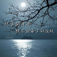 北方的月光照不到南方的深秋 (Single)
