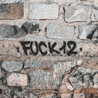 Fuck 12 (Single)